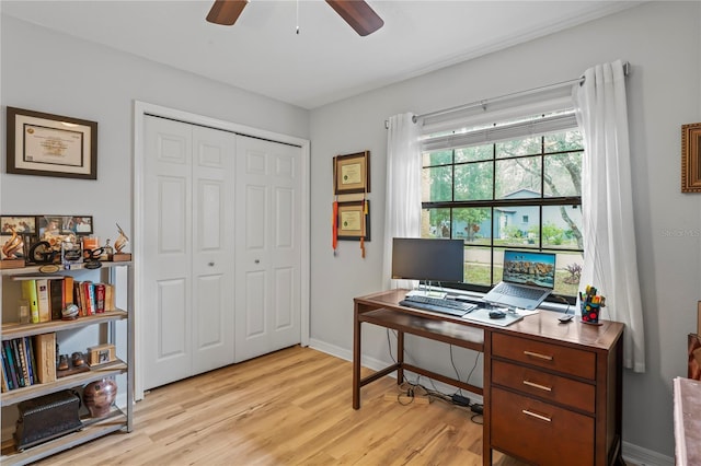 6315 Shane Ln, New Port Richey, FL 34653 - office with a ceiling fan, light wood-style floors, and baseboards