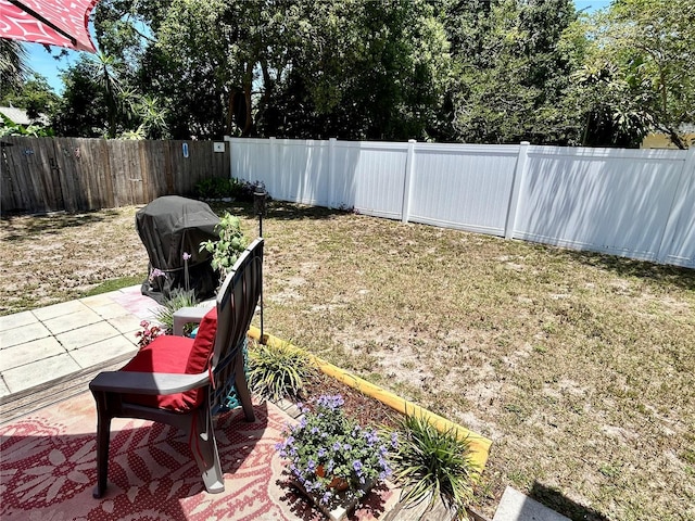 7861 Raintree Dr, New Port Richey, FL 34653 - view of yard with a patio