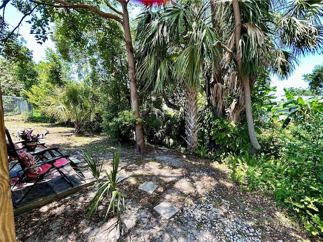 7861 Raintree Dr, New Port Richey, FL 34653 - view of yard