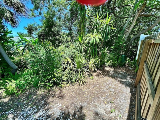 7861 Raintree Dr, New Port Richey, FL 34653 - view of yard
