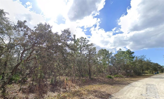 11114 Song Sparrow Ave, Brooksville, FL 34614