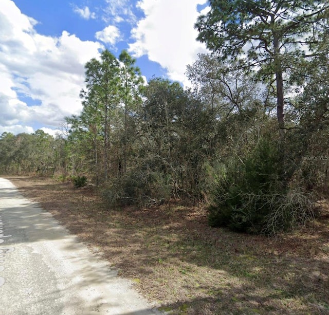 11114 Song Sparrow Ave, Brooksville, FL 34614