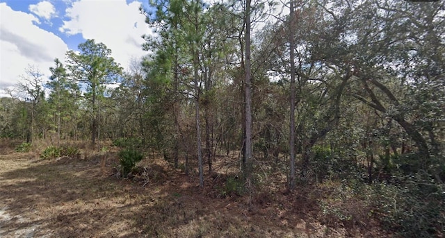 11114 Song Sparrow Ave, Brooksville, FL 34614