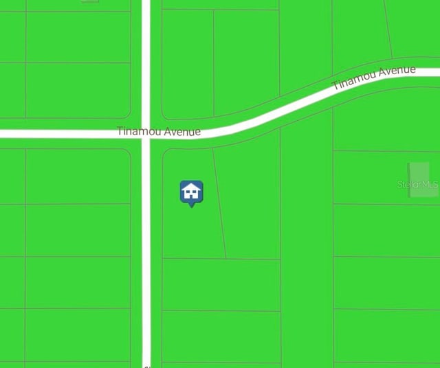 16338 Scaup Duck Ave, Weeki Wachee, FL 34614
