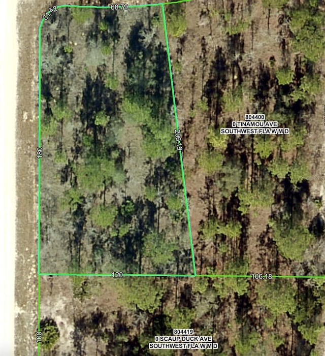 16338 Scaup Duck Ave, Weeki Wachee, FL 34614