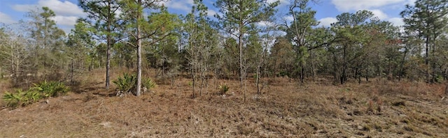 16338 Scaup Duck Ave, Weeki Wachee, FL 34614