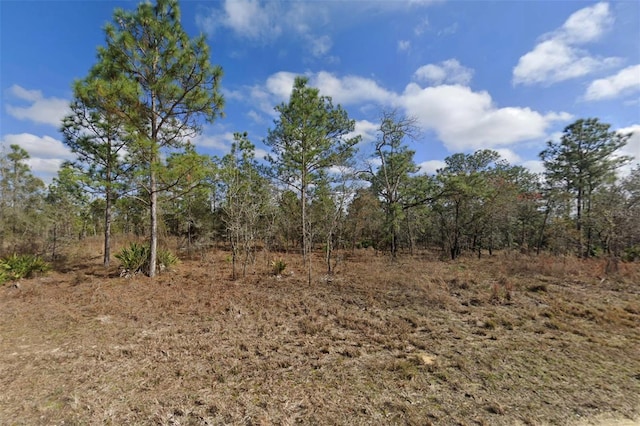 16338 Scaup Duck Ave, Weeki Wachee, FL 34614