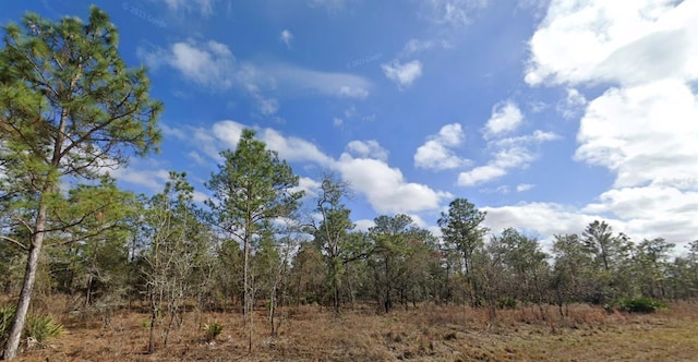 16338 Scaup Duck Ave, Weeki Wachee, FL 34614