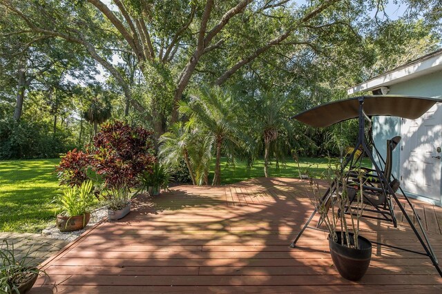 3609 Montclair Dr, New Port Richey, FL 34655 - wooden deck with a yard