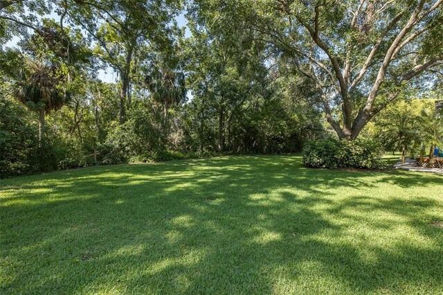 3609 Montclair Dr, New Port Richey, FL 34655 - view of grassy yard