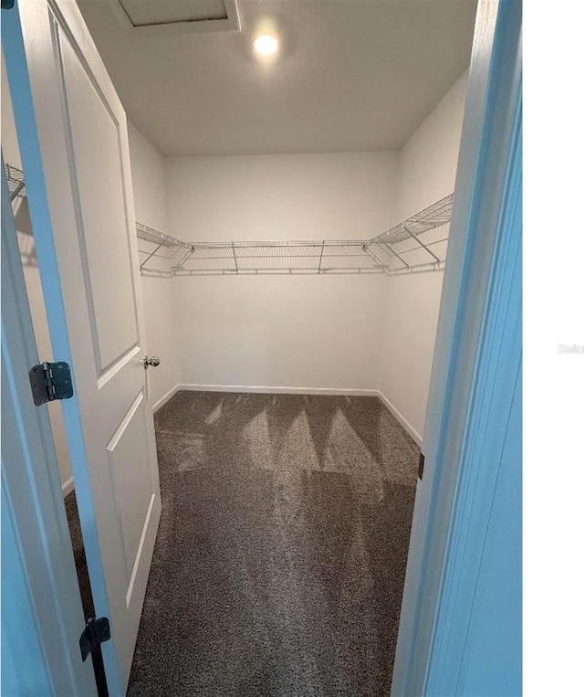 7433 Stone Creek Trl, Kissimmee, FL 34747 - walk in closet featuring carpet floors