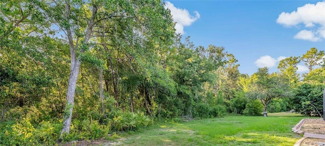 32 Linder Cir, Homosassa, FL 34446 - photo 34