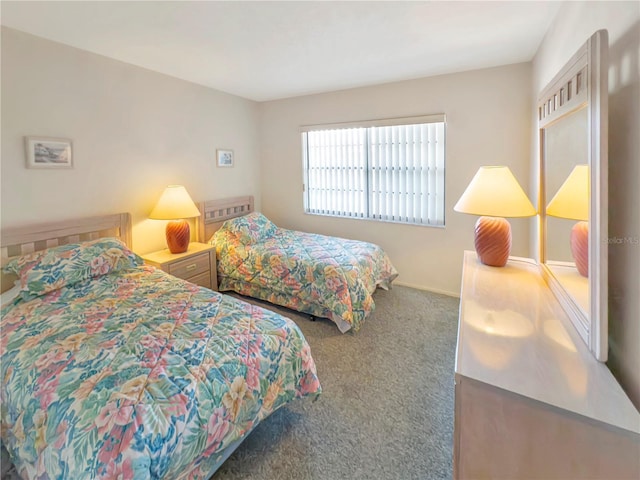 5627 Ferguson Ct Unit 1303, New Port Richey, FL 34652 - bedroom with carpet floors and baseboards