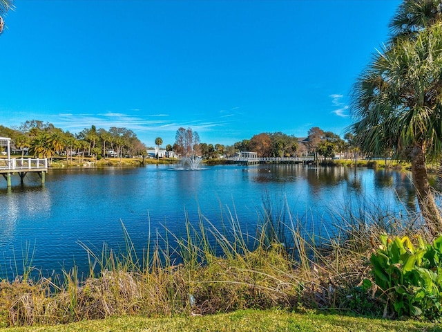 5627 Ferguson Ct Unit 1303, New Port Richey, FL 34652 - water view
