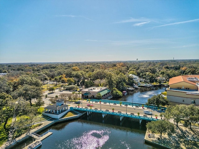 5627 Ferguson Ct Unit 1303, New Port Richey, FL 34652 - drone / aerial view of a nearby body of water, a notable bridge, and a heavily wooded area