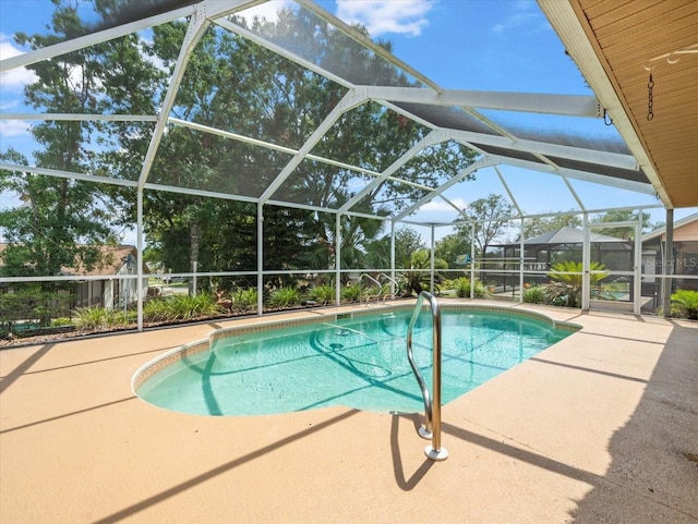 10442 Ventura Dr, Spring Hill, FL 34608 - outdoor pool featuring a patio and a lanai