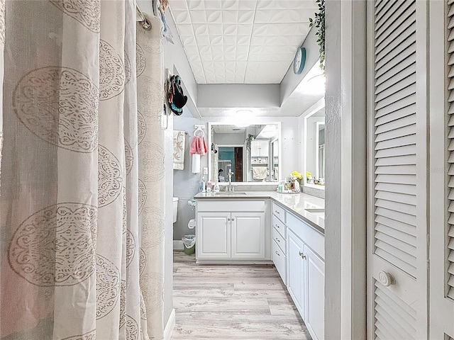 10411 Ireland St, Spring Hill, FL 34608 - bathroom with wood finished floors, a closet, vanity, and toilet