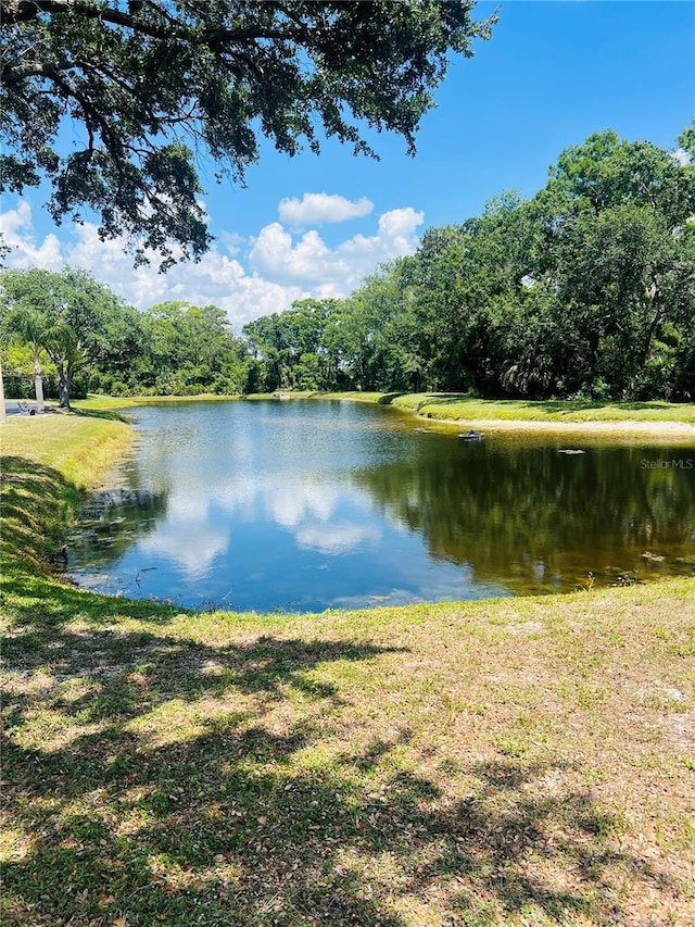 4221 San Rafael Ave, New Port Richey, FL 34655 - water view