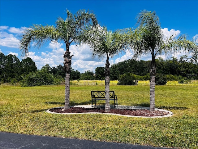 4221 San Rafael Ave, New Port Richey, FL 34655 - surrounding community with a lawn