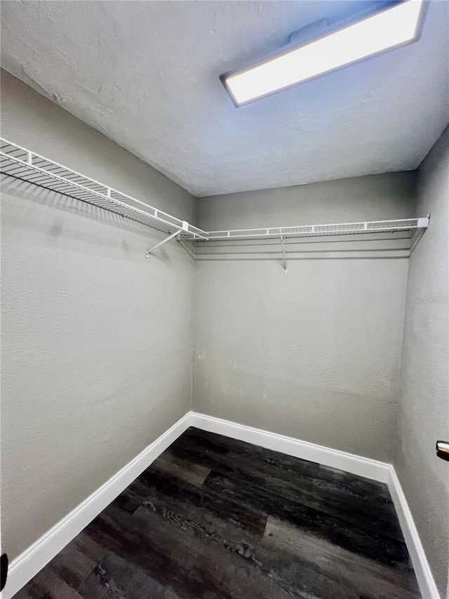 3304 Honeymoon Ln, Holiday, FL 34691 - spacious closet with dark wood-style floors