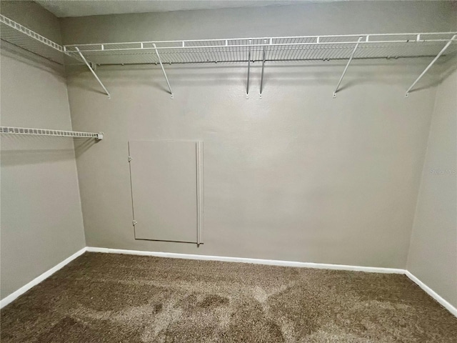 3304 Honeymoon Ln, Holiday, FL 34691 - walk in closet featuring carpet