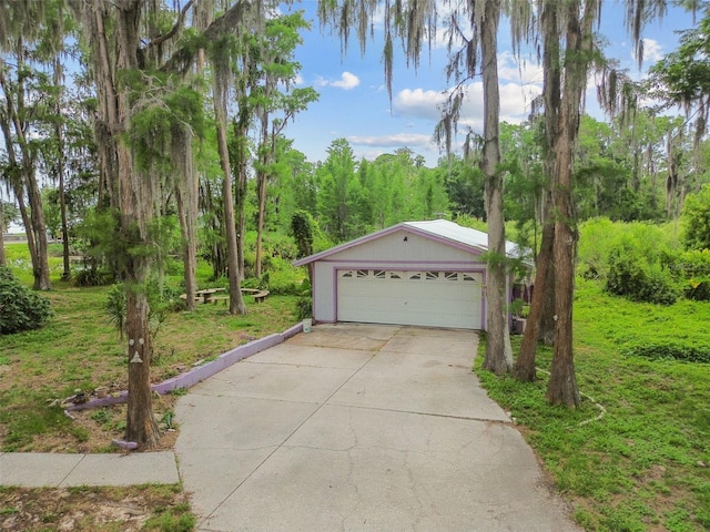 8755 Marigold Dr, New Port Richey, FL 34654 - detached garage with a view of trees