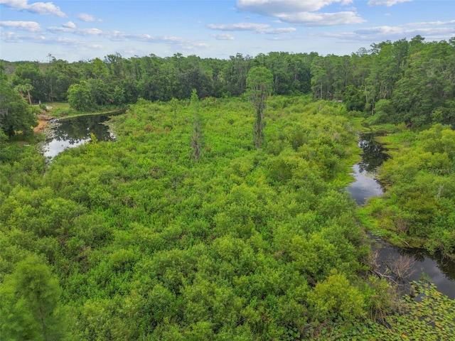 8755 Marigold Dr, New Port Richey, FL 34654 - bird's eye view of a forest and a nearby body of water