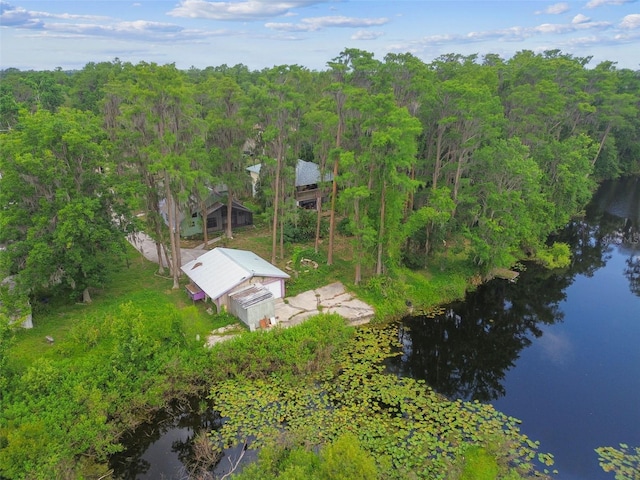 8755 Marigold Dr, New Port Richey, FL 34654 - aerial view of property and surrounding area with a forest and a large body of water
