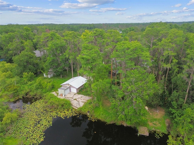 8755 Marigold Dr, New Port Richey, FL 34654 - view from above of property featuring a forest and a nearby body of water