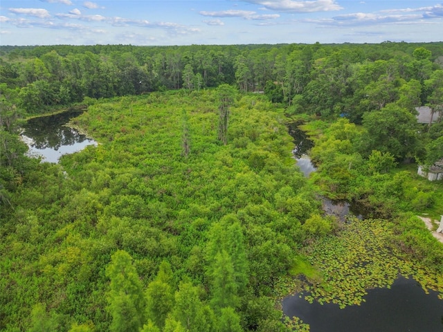 8755 Marigold Dr, New Port Richey, FL 34654 - bird's eye view of a forest and a nearby body of water