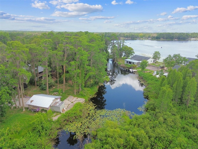 8755 Marigold Dr, New Port Richey, FL 34654 - bird's eye view of a large body of water and a forest
