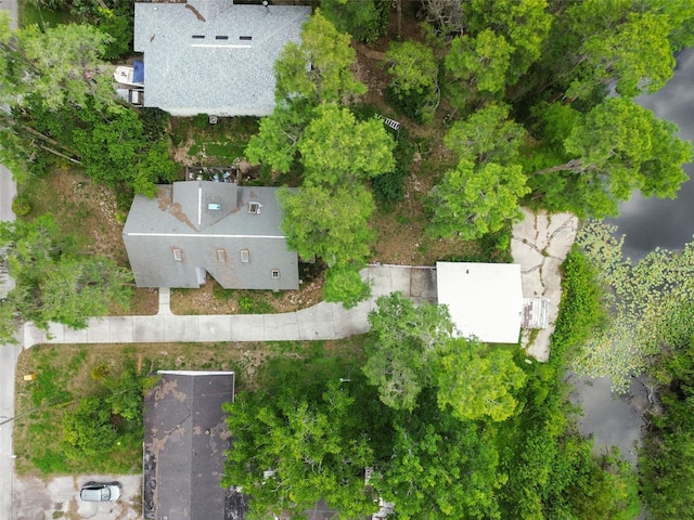 8755 Marigold Dr, New Port Richey, FL 34654 - bird's eye view