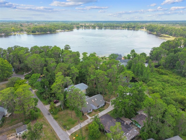 8755 Marigold Dr, New Port Richey, FL 34654 - aerial view of property's location with a large body of water and a heavily wooded area