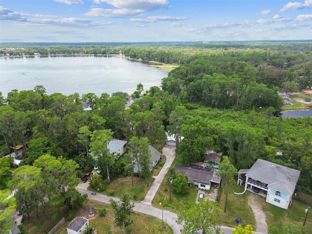 8755 Marigold Dr, New Port Richey, FL 34654 - aerial view of property's location with a large body of water and a forest