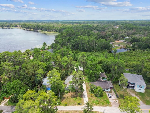 8755 Marigold Dr, New Port Richey, FL 34654 - bird's eye view of a forest and a large body of water