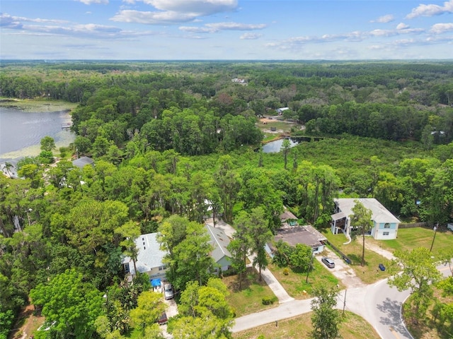 8755 Marigold Dr, New Port Richey, FL 34654 - aerial view of a forest and a large body of water