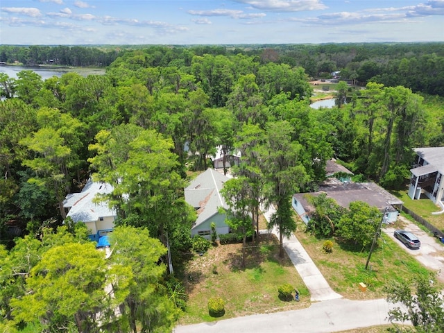 8755 Marigold Dr, New Port Richey, FL 34654 - drone / aerial view of a heavily wooded area and a large body of water