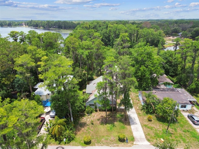 8755 Marigold Dr, New Port Richey, FL 34654 - aerial view of a nearby body of water and a forest