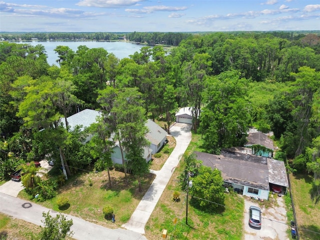 8755 Marigold Dr, New Port Richey, FL 34654 - bird's eye view of a heavily wooded area and a large body of water