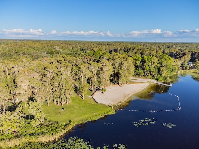 8755 Marigold Dr, New Port Richey, FL 34654 - aerial view of property's location featuring a heavily wooded area and a large body of water