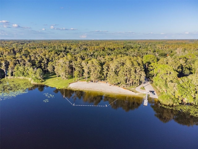 8755 Marigold Dr, New Port Richey, FL 34654 - drone / aerial view of a heavily wooded area and a nearby body of water