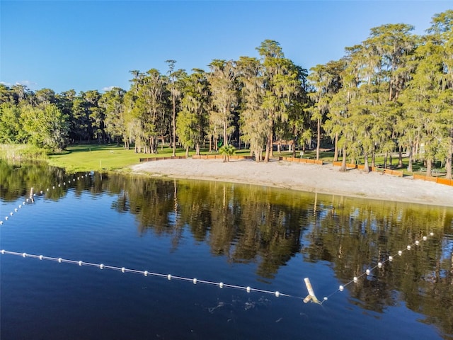 8755 Marigold Dr, New Port Richey, FL 34654 - water view featuring a tree filled landscape