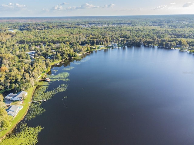 8755 Marigold Dr, New Port Richey, FL 34654 - view of property location with a forest and a nearby body of water