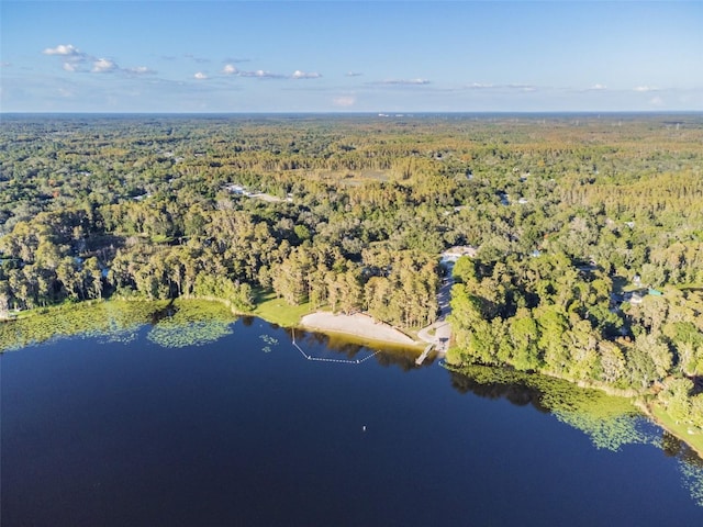 8755 Marigold Dr, New Port Richey, FL 34654 - view of property location with a forest and a nearby body of water