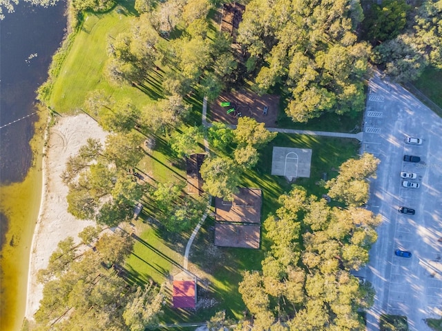 8755 Marigold Dr, New Port Richey, FL 34654 - drone / aerial view