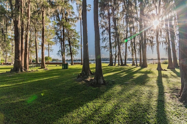 8755 Marigold Dr, New Port Richey, FL 34654 - view of green lawn