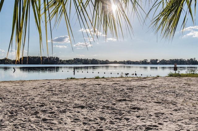 8755 Marigold Dr, New Port Richey, FL 34654 - water view