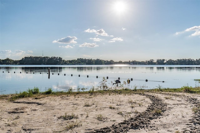 8755 Marigold Dr, New Port Richey, FL 34654 - water view
