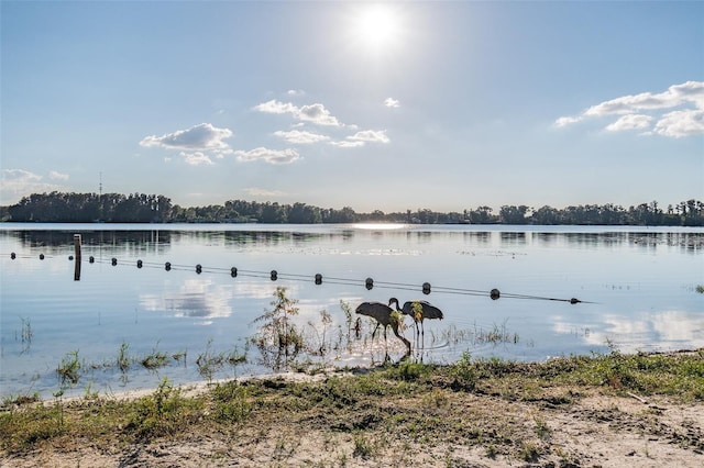 8755 Marigold Dr, New Port Richey, FL 34654 - water view