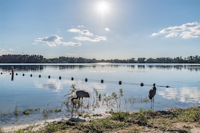 8755 Marigold Dr, New Port Richey, FL 34654 - water view